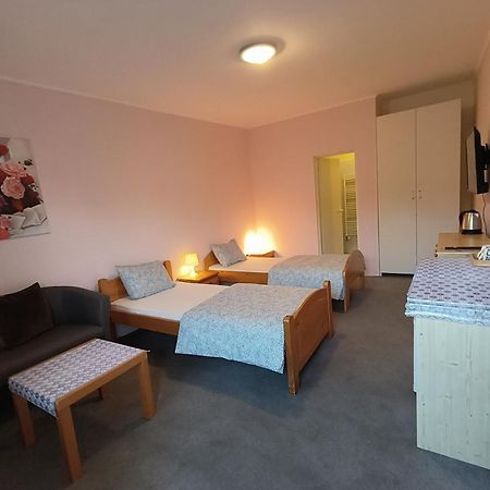 Cozy Room With Garden In ブラチスラヴァ エクステリア 写真